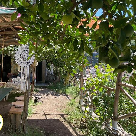 Готель Cetara Camping Amalfitan Coast Екстер'єр фото